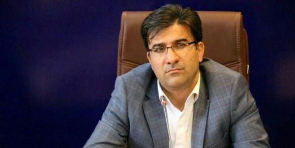 معاون استاندار تهران: نوسان قیمت مرغ ناشی از افزایش هزینه حمل است
