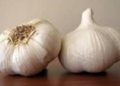 مصرف سیر برای مقابله با بیماری ها